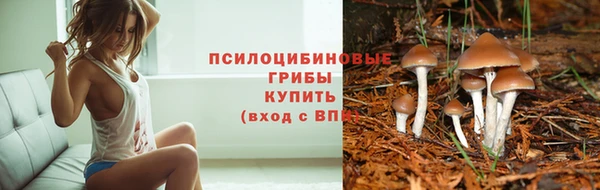 наркотики Алексеевка