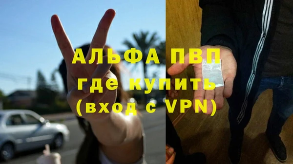 гидра Арсеньев