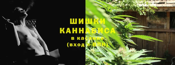 гидра Арсеньев