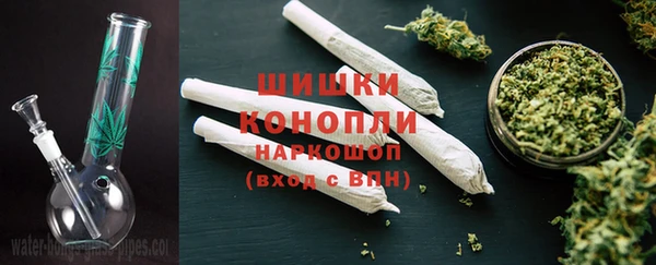 apvp Аркадак